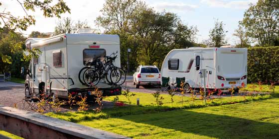Evening sun illuminates touring caravan pitches at York Naburn Lock Caravan Park. Adults touring in York  
